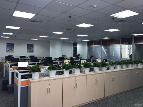 看準網視角 企業(yè)總部管理的成功密碼——快速發(fā)展與優(yōu)質工作環(huán)境